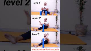 Best exercise for knee pain kneepain kneestrengthening corestrength exercise youtuber yt [upl. by Einnor]