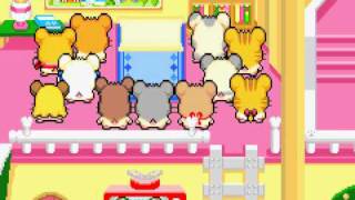 Lets Play Hamtaro Rainbow Rescue Part 1  Mr Rainbow Fairy [upl. by Ertemed412]