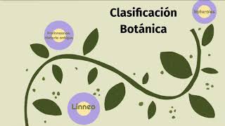 Historia clasificaciones botánicas [upl. by Hurlow]