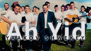 Ah Yid  Yaakov Shwekey MUSIC VIDEO [upl. by Peri]