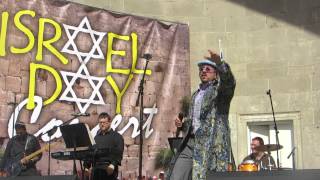 lipa schmeltzer by the israel day concert  central park 2013 part 1 [upl. by Airekat196]