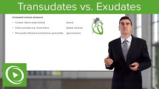 Transudates vs Exudates – Pleural Disease  Lecturio [upl. by Forster808]