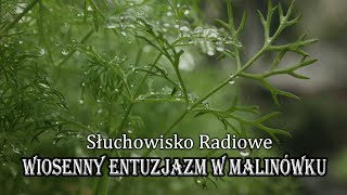 Wiosenny entuzjazm w Malinówku  Marek Ławrynowicz  Słuchowisko Radiowe [upl. by Ariad214]