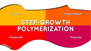 Polyester Polyamide Polyurethane and Polyurea polymerization [upl. by Odlanir390]