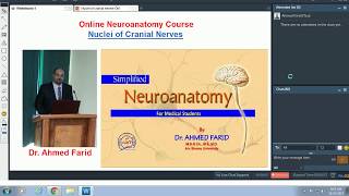 Introduction to Neuroanatomy  Learn the Basics  Neuroanatomy Playlist [upl. by Enirehs]