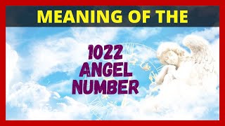 1022 Angel Number  Meaning And Twin Flame🔥 [upl. by Ikiv]