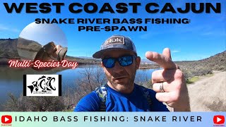 Snake River Bass Fishing PreSpawn [upl. by Hamlin]