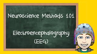 Electroencephalography EEG Explained  Neuroscience Methods 101 [upl. by Yeliah]