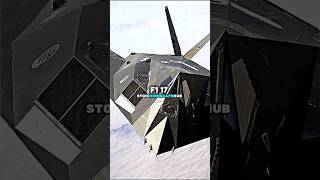 The truth behind the F117 nighthawk stealth fighter shorts joerogan [upl. by Yesteb]