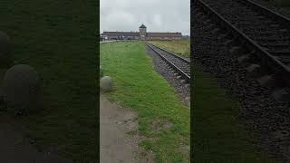 Auschwitz Birkenau 2024 history ww2 war rip peace shorts people [upl. by Bartolomeo662]