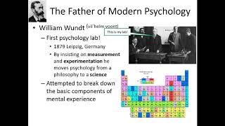 Structuralism amp Functionalism [upl. by Obala299]