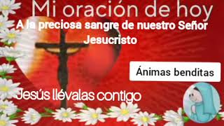 Oración a la Preciosa Sangre de Cristo 4 de Noviembre 2024 [upl. by Chemosh]