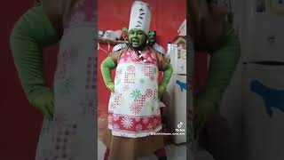 cover music song lyrics shrek chimichangas anime cosplay [upl. by Mot]