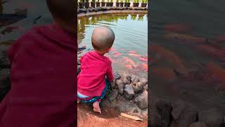 Koi Fish 🐟 🐠🐟 Yakshith playing with Koi Fish  shorts explore trending vairalvideo [upl. by Devland]