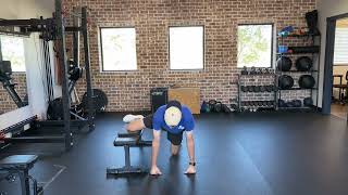 Quadruped Hip Internal Rotation Lift Offs [upl. by Colt477]