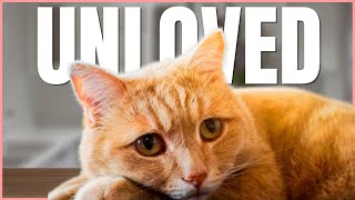 5 Signs That Your Cat Feel Unloved 💔 [upl. by Darrej471]