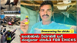 ಜಂತುಹುಳು ನಿರ್ವಹಣೆ ಬಗ್ಗೆ ಸಂಪೂರ್ಣ ಮಾಹಿತಿ  Deworming for chicken 🐓 chicks 🐥 Deworming in kannada [upl. by Alyhc]