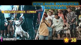 SUPER WOWW AKSI DUO ALLSTARS PORBI BERLIAN LUMBA LUMBA FEAT 🌟38 banangsalai berburubabi berburu [upl. by Ycak]