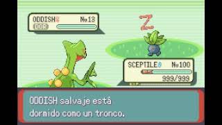 POKEMON EMERALD  SCEPTILE  BESO AMOROSO  LOVELY KISS [upl. by Ramgad]