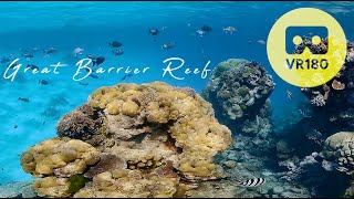 VR180 Virtual Dive Great Barrier Reef  Underwater 57K for Oculus Quest [upl. by Ahsirak]