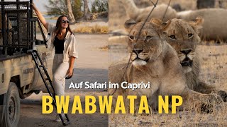 Safari in der Mahango und BUFFALO CORE AREA  Bwabwata Nationalpark im Caprivi  Namibia [upl. by Readus136]