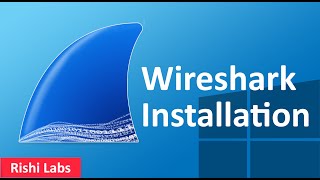 How to install Wireshark on Windows 11 [upl. by Nirb911]