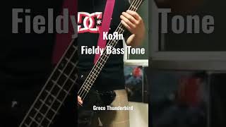 Fieldy Bass Tone Solo [upl. by Aeynod457]