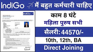 Airport में निकली भर्ती  Indigo job vacancy 2024  airport job vacancy 2024  Jobvalley [upl. by Elokkin15]