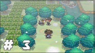 Pokémon Black 2 amp White 2 Walkthrough  Part 3 Finding Herdier [upl. by Nahc]