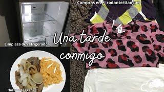 Vlog  limpiando mi refrigerador 🧽🫧  que hago por las tardes🤔 [upl. by Safier]