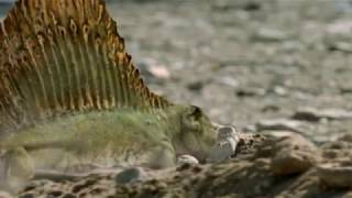 Walking with Monsters  Baby Dimetrodon rush [upl. by Suoivatco]