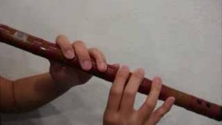 Basic introduction of the Dizi Chinese Bamboo Flute [upl. by Atenahs515]