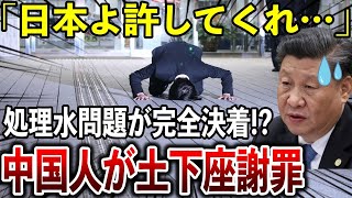 急展開！処理水問題で中国国民が謝罪！？「我々が間違っていた…」まさかの事態に中国政府が大焦りw【海外の反応】 [upl. by Arriaet481]