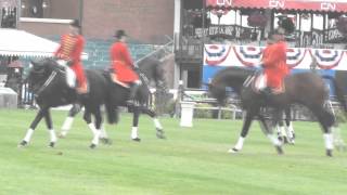 Celle Stallions  Spruce Meadows  2012 [upl. by Ytirev858]