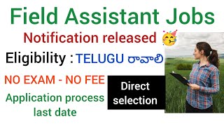 Field Assistant Jobs Eligibility Degree  AP  TS   No exam  no fee  Direct selection [upl. by Otrevire]