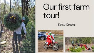 Christmas Tree Farm Tour 1 [upl. by Clance]