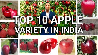 Top 10 apple variety in India apple variety seb ka business deepak Shukla annadata kisan [upl. by Juna]