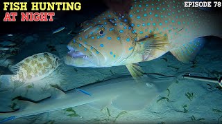 NIGHT SPEARFISHING EPISODE 78  FISH HUNTING AT NIGHT [upl. by Oetomit]