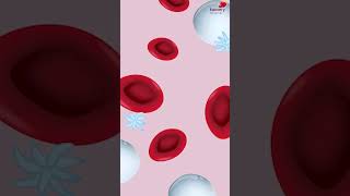 Common Causes of Low Hemoglobin  Watch full Video  httpsyoutubegxBTCGceu38 [upl. by Herschel145]