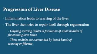 Liver Disease  Fibrosis [upl. by Hairahs]