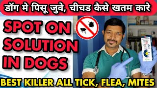 Best Tick And Flea Treatment For Dogs  Puppies  Spot On Solution For Dogs  Tick Flea Remedies [upl. by Ardnaxila]