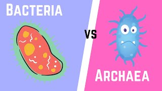 Difference between Bacteria and Archaea [upl. by Kciderf]