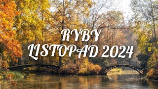 ♓RYBY ♓ listopad 2024  zmiany które wprowadzą spokój i stabilizację 🫶💫☺️🪬🪐🌕 [upl. by Aivilys931]