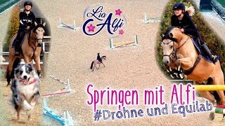 Lia amp Alfi  Springen mit Alfi und Equilab  Aufnahmen mit Drohne [upl. by Isherwood]