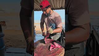 Skipjack Tuna Cutting Skill  Tuna Cutting Under One Minute [upl. by Llevaj]