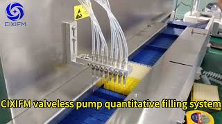 CIXIFM valveless plunger pump quantitative filling system plungerpump meteringpump pumpsolutions [upl. by Auhsot87]