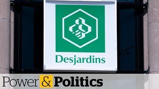 Desjardins data theft affected 42 million says credit union  Power amp Politics [upl. by Gulgee]