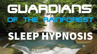 Guided Meditation for Deep Sleep quotGuardians of The Rainforestquot A Mind Hypnosis for Sleeping [upl. by Sidman]