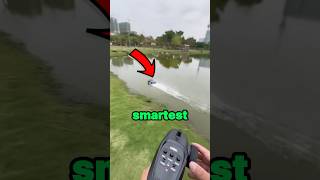 3 Smartest RC cars [upl. by Mariele]