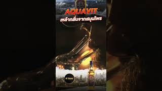 ทำความรู้จัก Aquavit เหล้ากลั่นจากสมุนไพรและยี่หร่า alsociety เครื่องดื่ม เกร็ดความรู้ [upl. by Kellina]